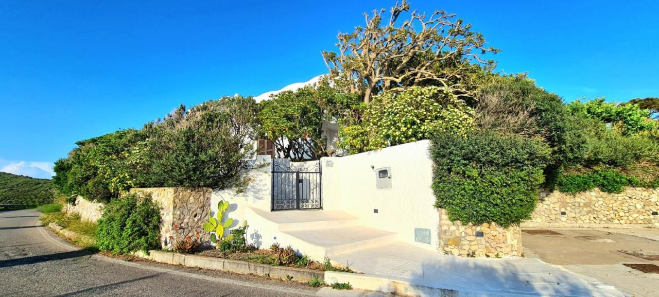 Guest House Villa Il Gabbiano Ponza Dış mekan fotoğraf