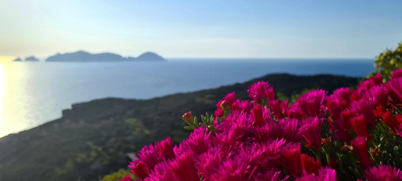 Guest House Villa Il Gabbiano Ponza Dış mekan fotoğraf